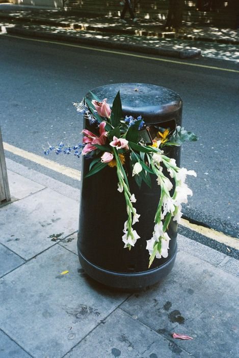 Flowers found on the street